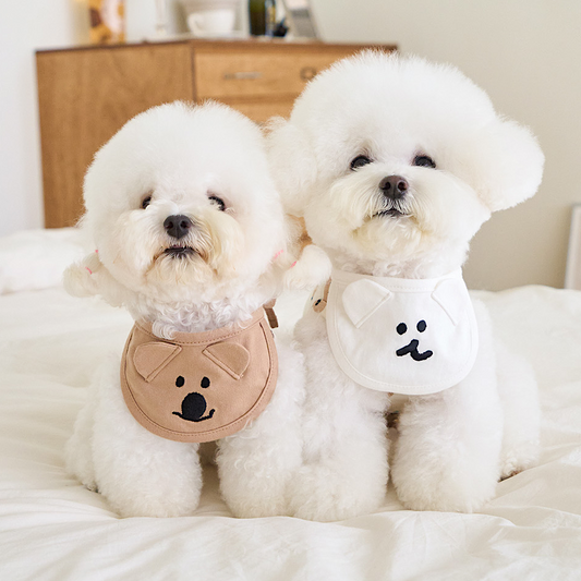 DINOTAENG口水肩 | Quok & Bobo