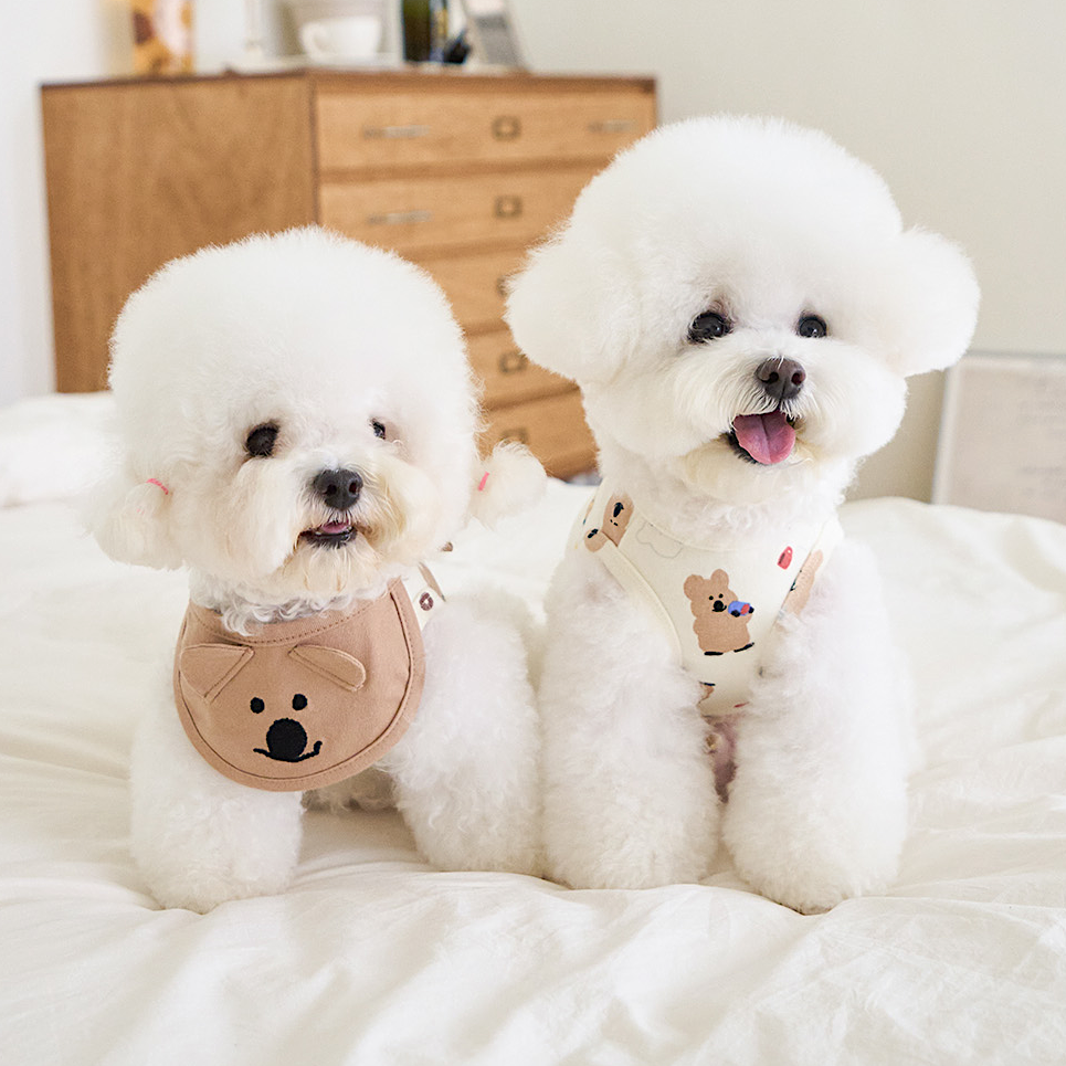 DINOTAENG口水肩 | Quok & Bobo
