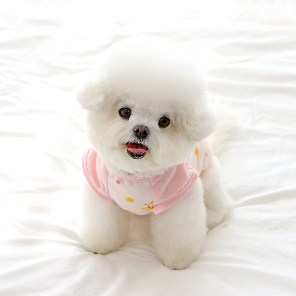 ITSDOG | Baby Pooh 純棉T恤