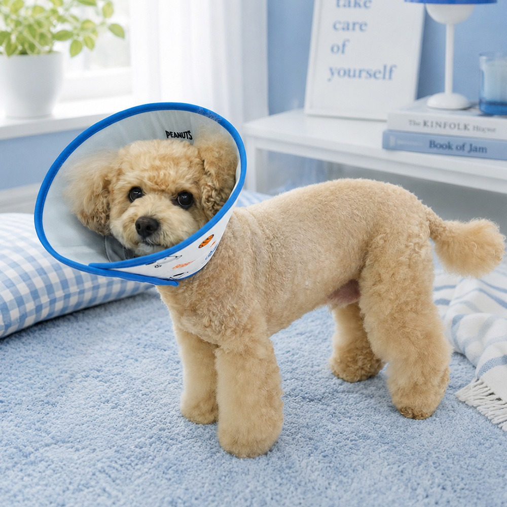Snoopy Cooling Pet Cone (2 colors)