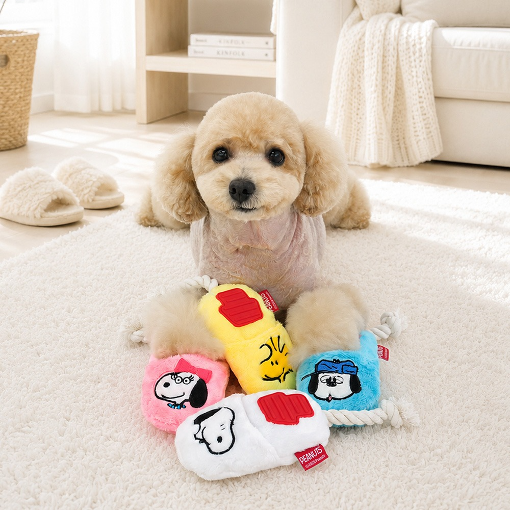 Snoopy Slipper Toy