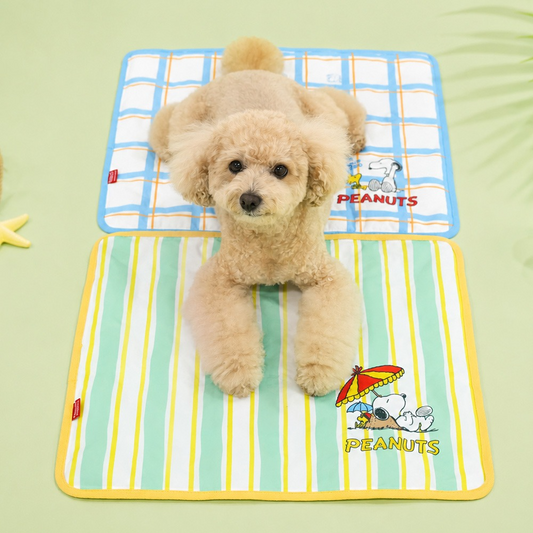 Snoopy Cooling Gel Mat | Double-Sided Pattern (2 colors)