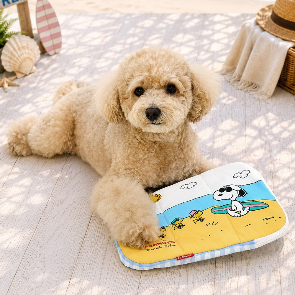 Snoopy Ice Pack Pouch (Beach / Swim Ring) | Double-Sided | Ice Pack included