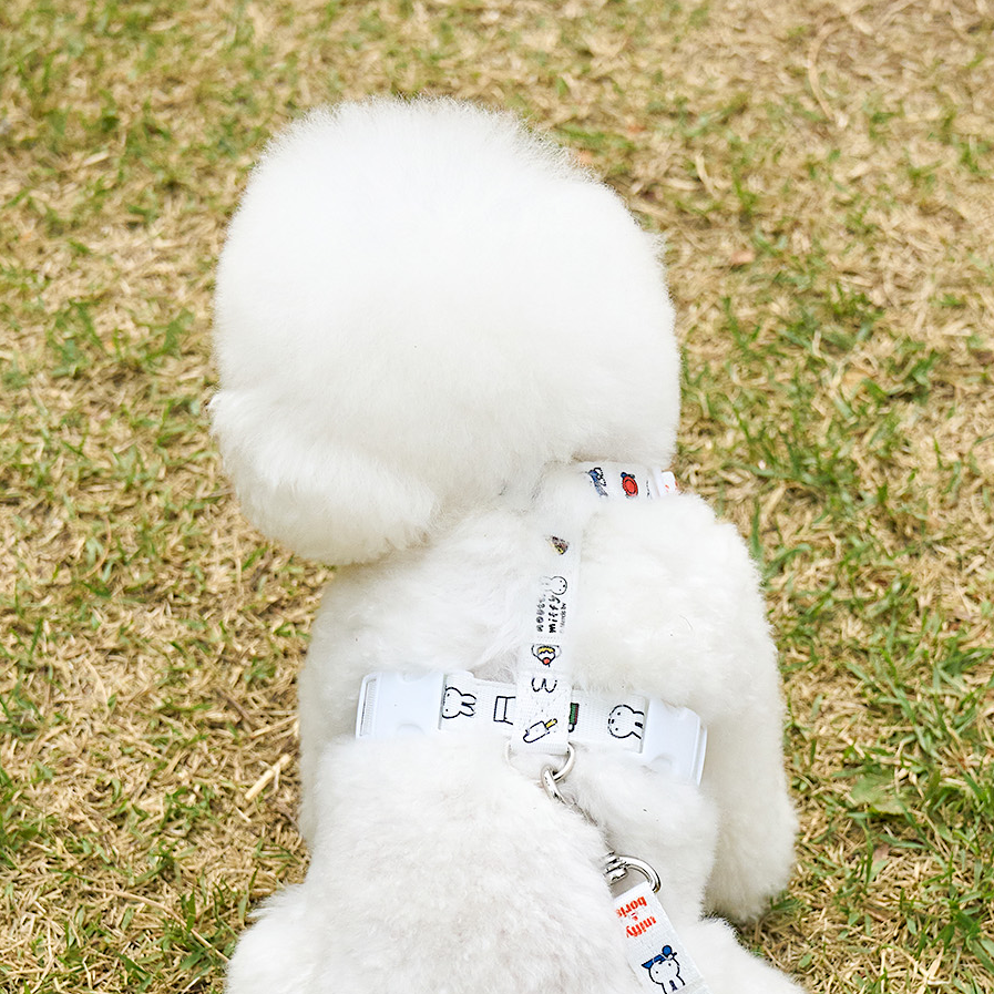 Miffy Family Harness