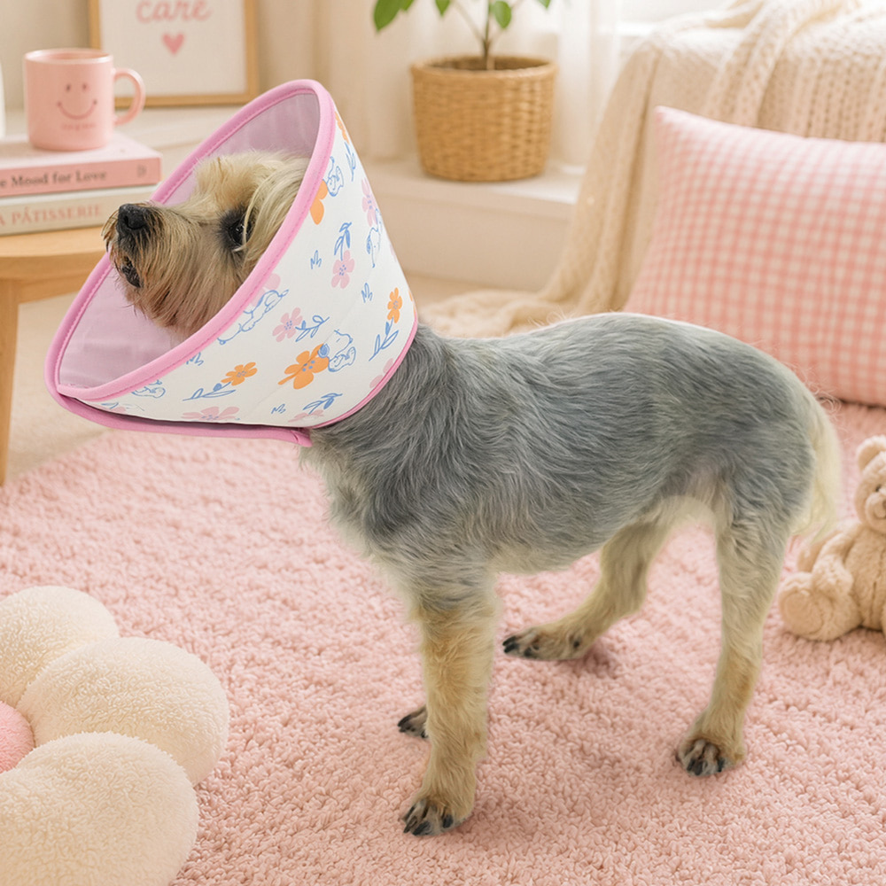 Snoopy Cooling Pet Cone (2 colors)