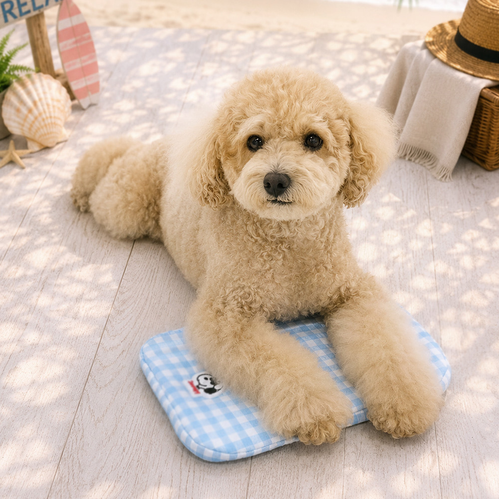 Snoopy Ice Pack Pouch (Beach / Swim Ring) | Double-Sided | Ice Pack included