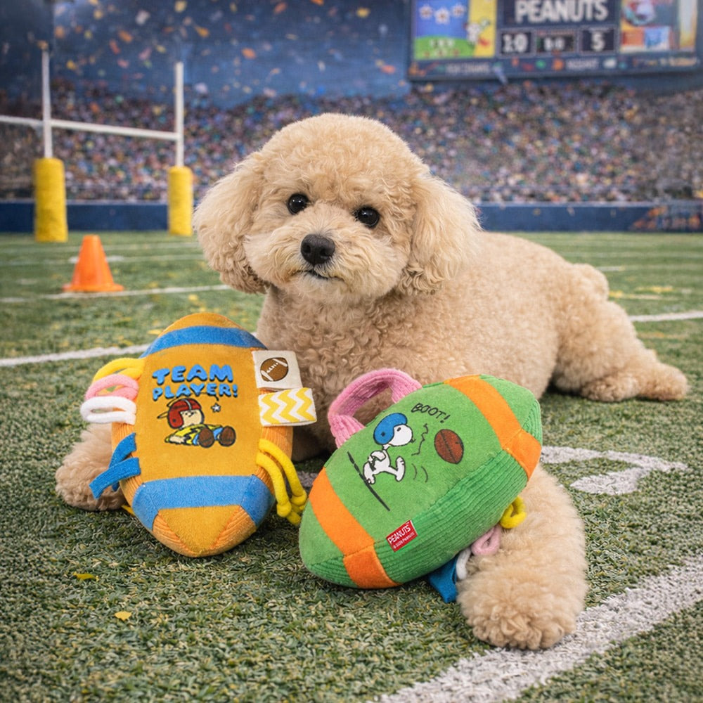 Snoopy Rugby Toy | Snoopy欖球玩具