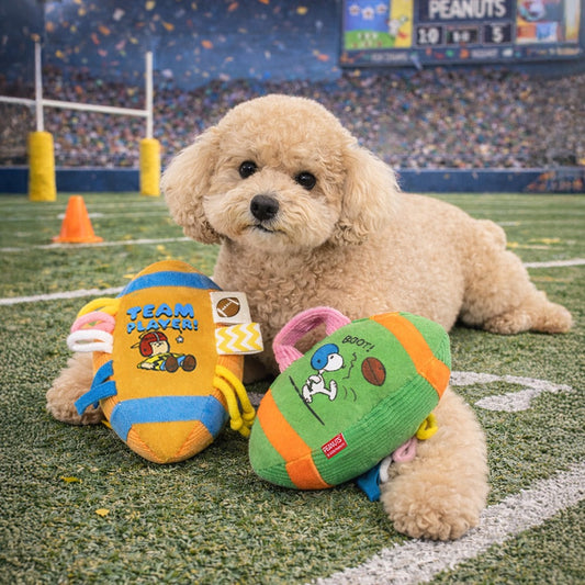 Snoopy Rugby Toy | Snoopy欖球玩具