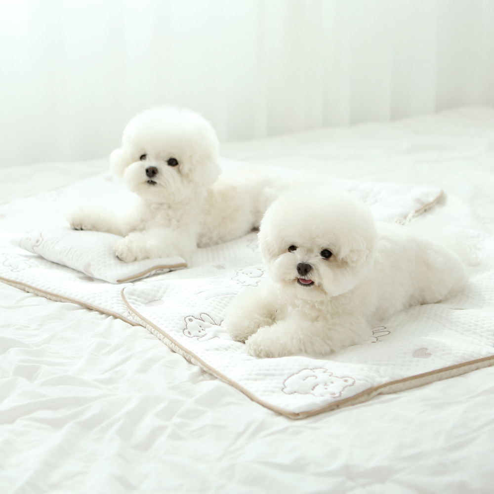 ITSDOG | Premium Cooling Mat | Forpe Fabric