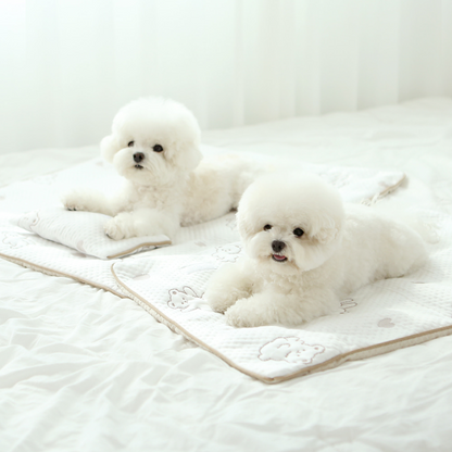 ITSDOG | Premium Cooling Mat | Forpe Fabric
