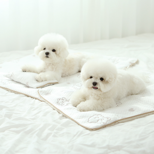 ITSDOG | Premium Cooling Mat | Forpe Fabric