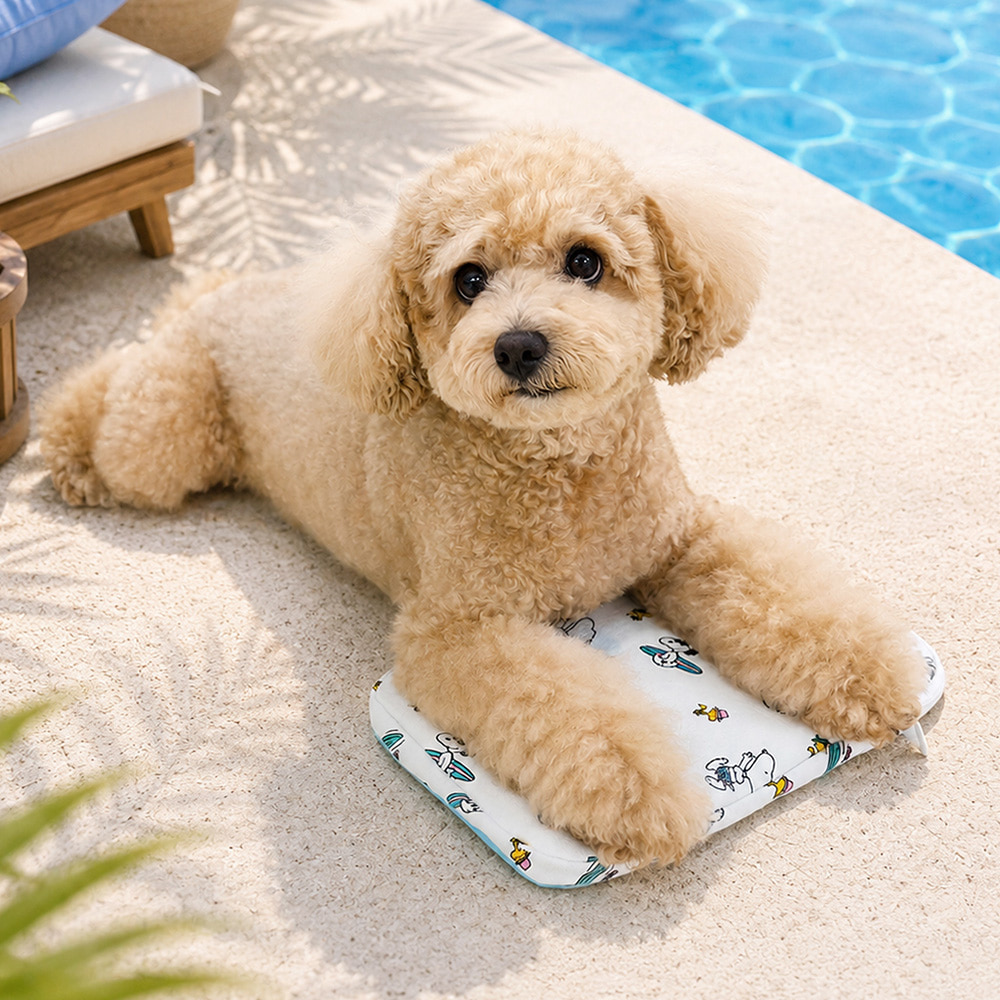 Snoopy Ice Pack Pouch (Beach / Swim Ring) | Double-Sided | Ice Pack included