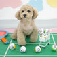 Snoopy Tennis Ball Set | Snoopy網球玩具 | 一套3件
