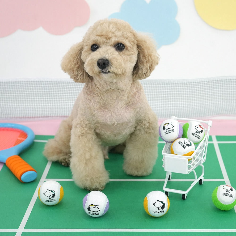 Snoopy Tennis Ball Set | Snoopy網球玩具 | 一套3件