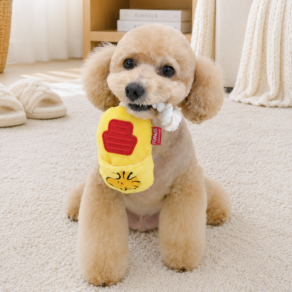 Snoopy Slipper Toy