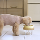 Snoopy Chef Pet Bowl ONLY