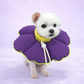 Teletubbies Dog Cone | Cushion Flower Style