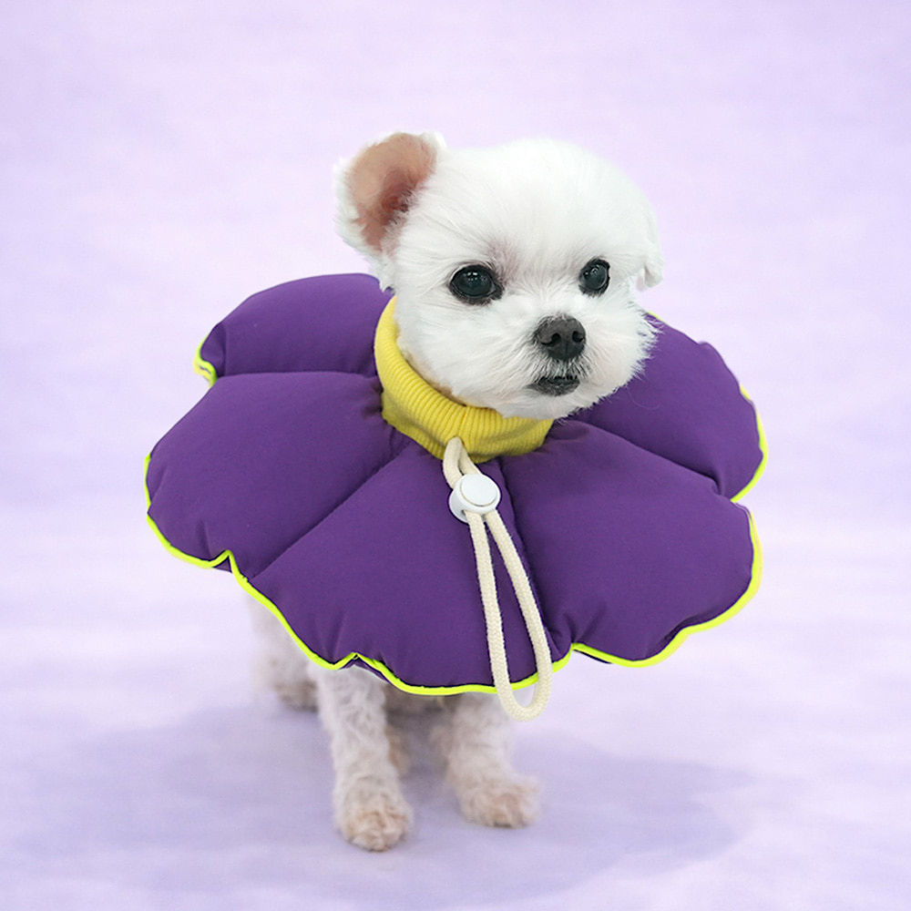 Teletubbies Dog Cone | Cushion Flower Style