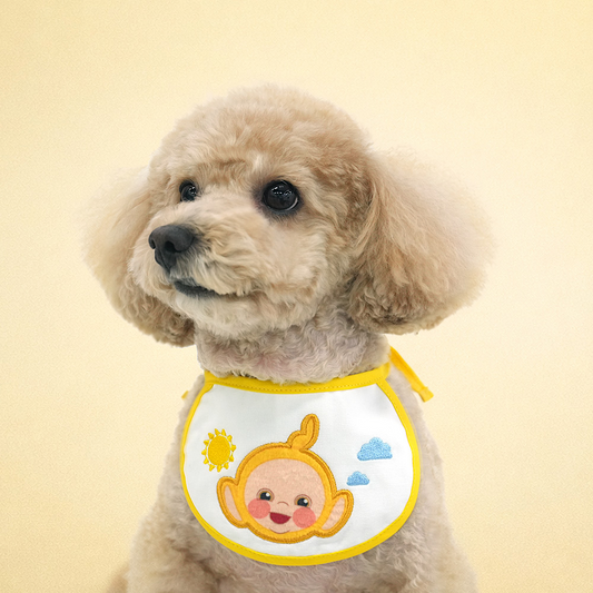 Teletubbies Bib