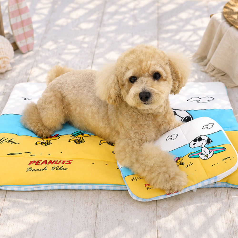 Snoopy Ice Pack Pouch (Beach / Swim Ring) | Double-Sided | Ice Pack included