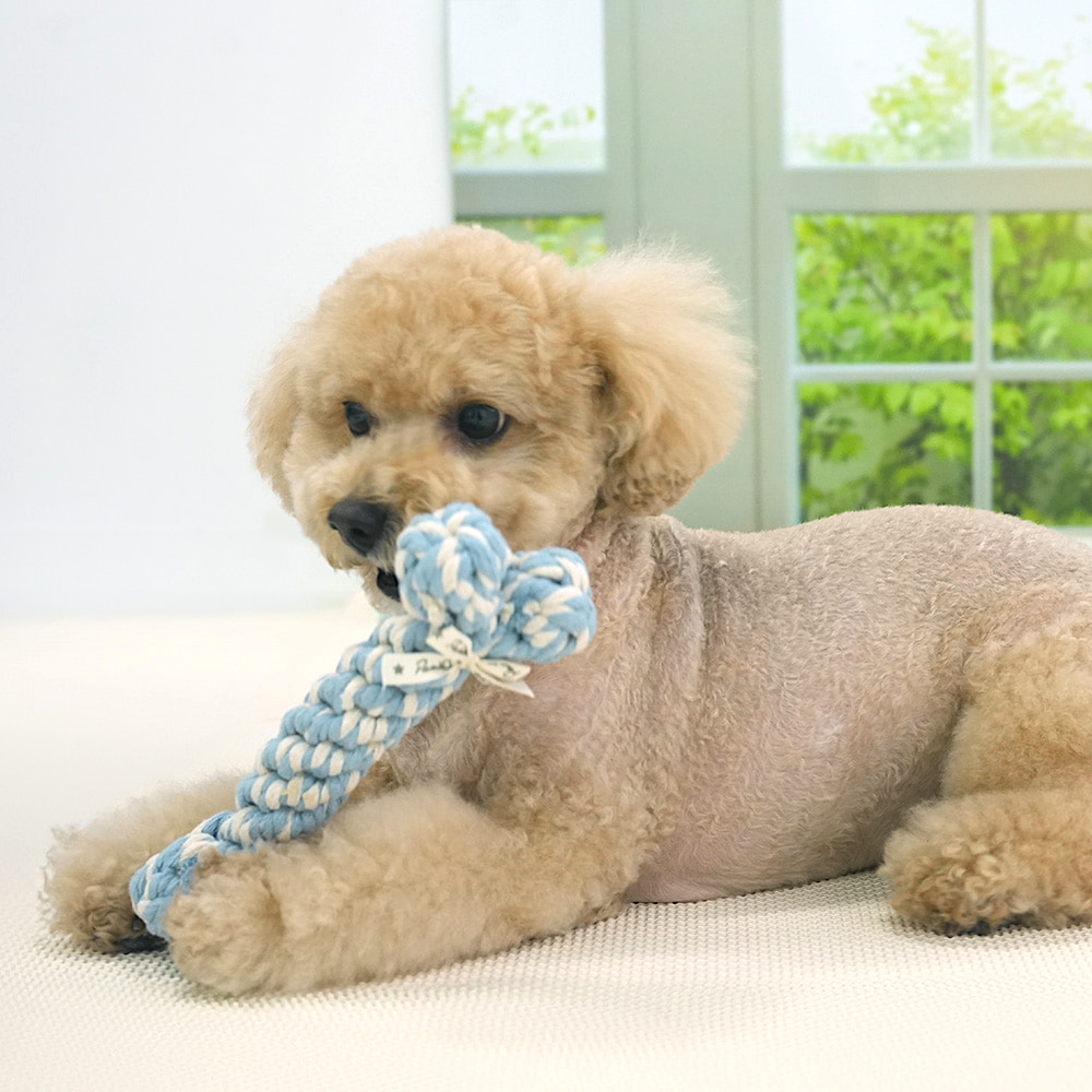 Dental Rope Toy (3 Designs)