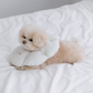 Cloud Dog Cone