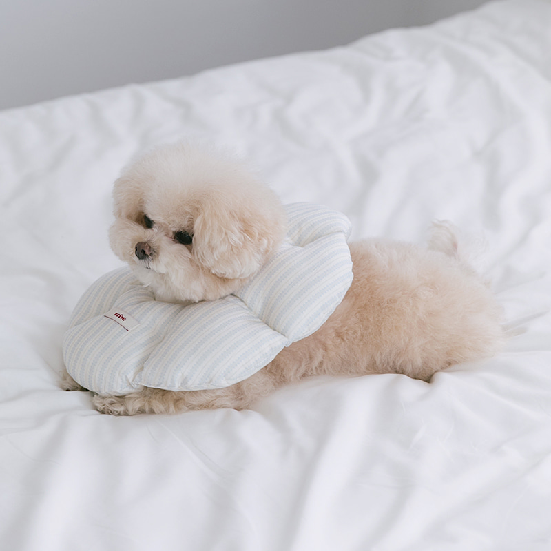 Cloud Dog Cone