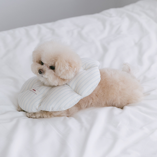 Cloud Dog Cone