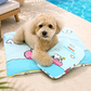 Snoopy Ice Pack Pouch (Beach / Swim Ring) | Double-Sided | Ice Pack included