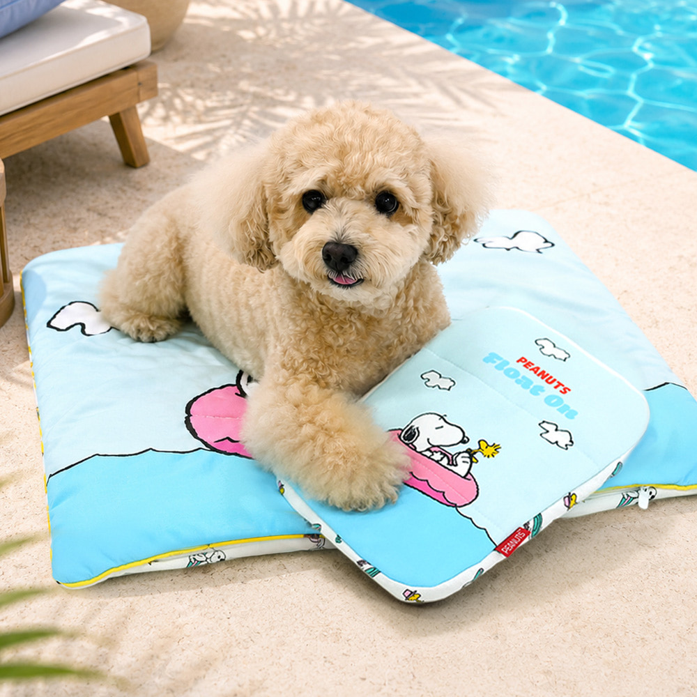 Snoopy Ice Pack Pouch (Beach / Swim Ring) | Double-Sided | Ice Pack included