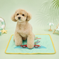 Snoopy Cooling Gel Mat | Double-Sided Pattern (2 colors)