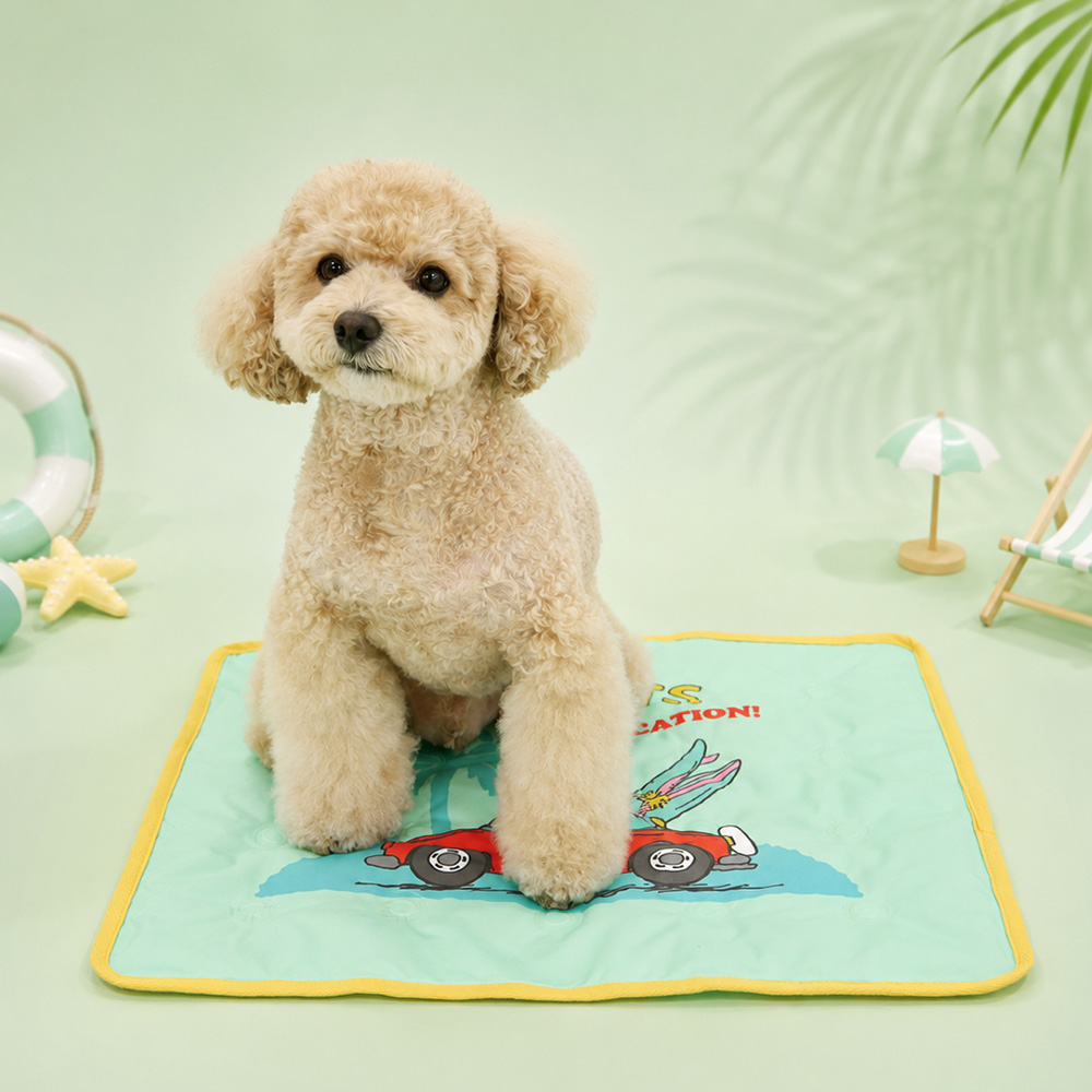 Snoopy Cooling Gel Mat | Double-Sided Pattern (2 colors)