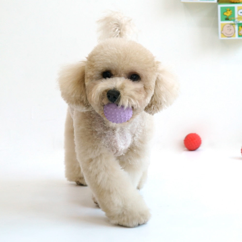 Snoopy Latex Ball (Small Size) | Snoopy 乳膠咇咇波 (細SIZE) | 一套4粒