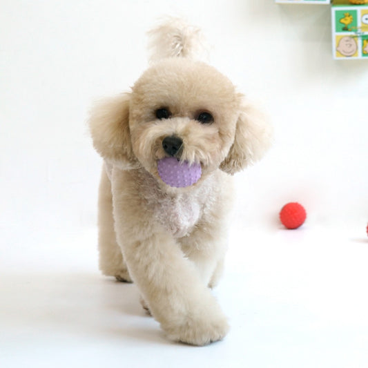 Snoopy Latex Ball (Small Size) | Snoopy 乳膠咇咇波 (細SIZE) | 一套4粒