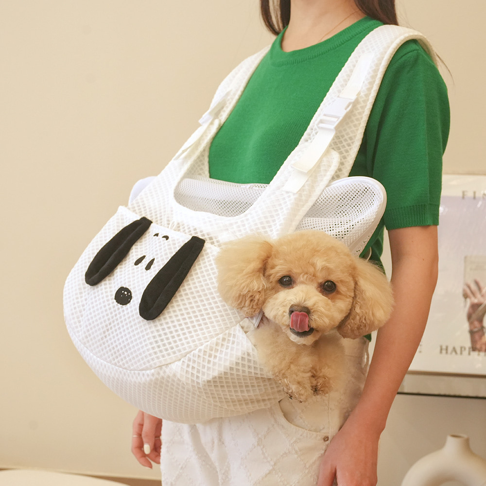 Snoopy Mesh Front Pet Bag