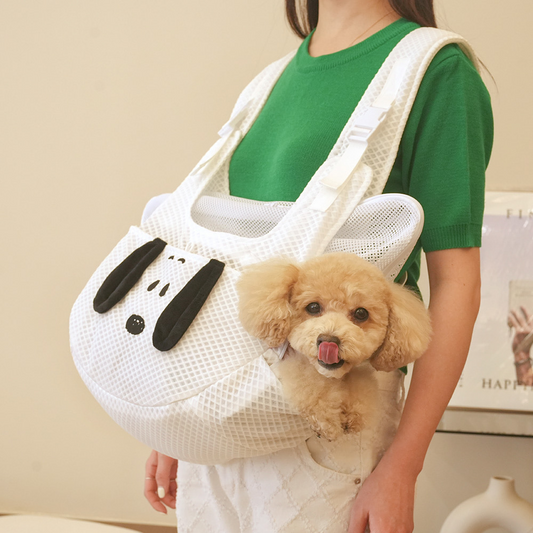 Snoopy Mesh Front Pet Bag