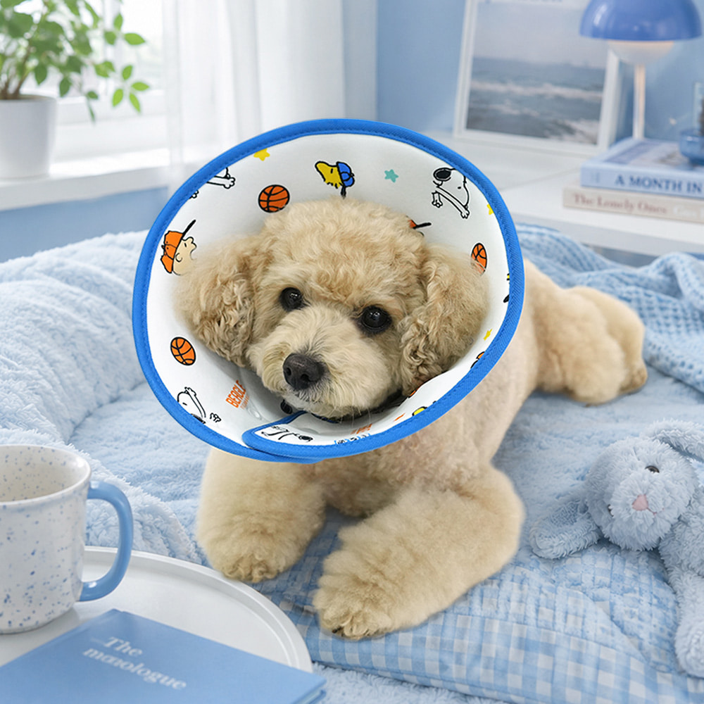 Snoopy Cooling Pet Cone (2 colors)