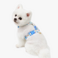 ITSDOG | Disney Harness (Mickey/Minnie/Donald Duck)