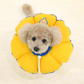 Teletubbies Dog Cone | Cushion Flower Style