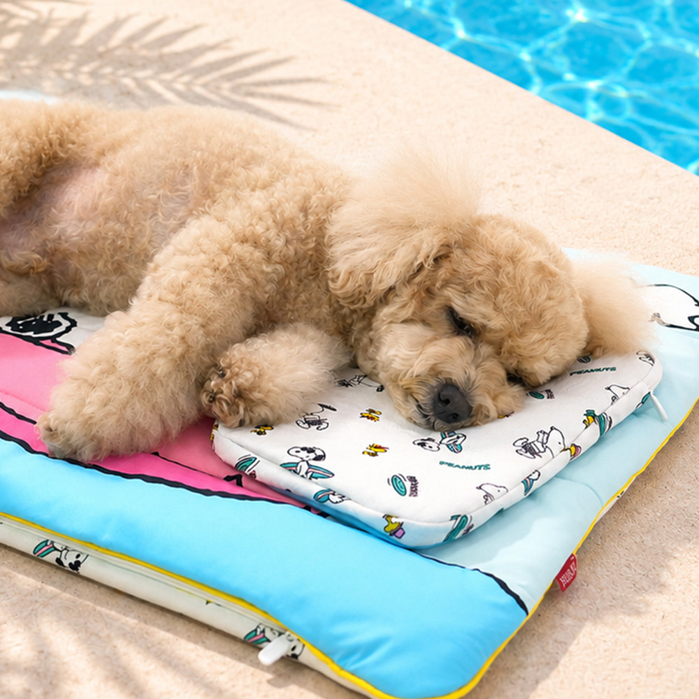 Snoopy Ice Pack Pouch (Beach / Swim Ring) | Double-Sided | Ice Pack included