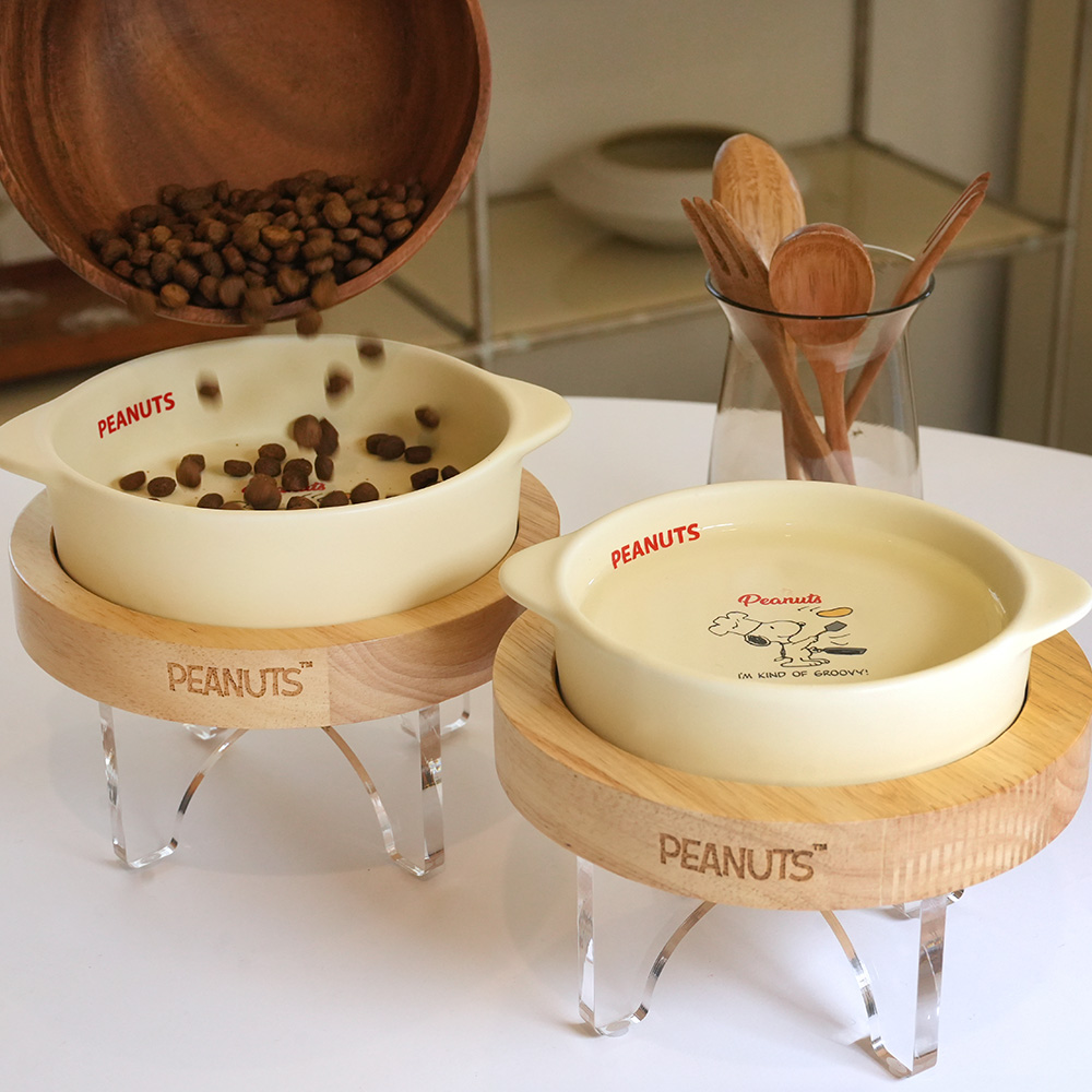 Snoopy Chef Pet Bowl ONLY