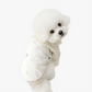 ITSDOG | 熊仔T恤 | Waffle Fabric