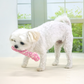 Dental Rope Toy (3 Designs)