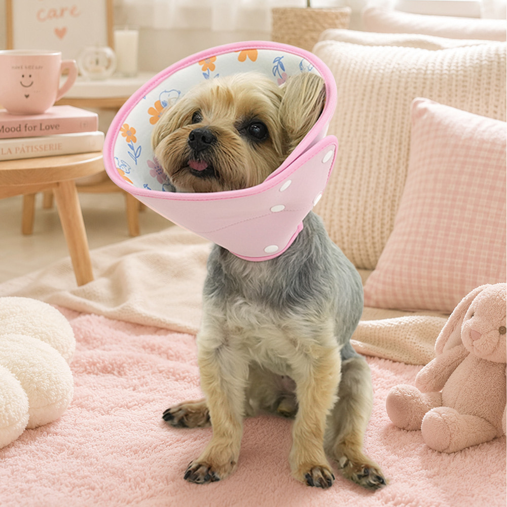 Snoopy Cooling Pet Cone (2 colors)