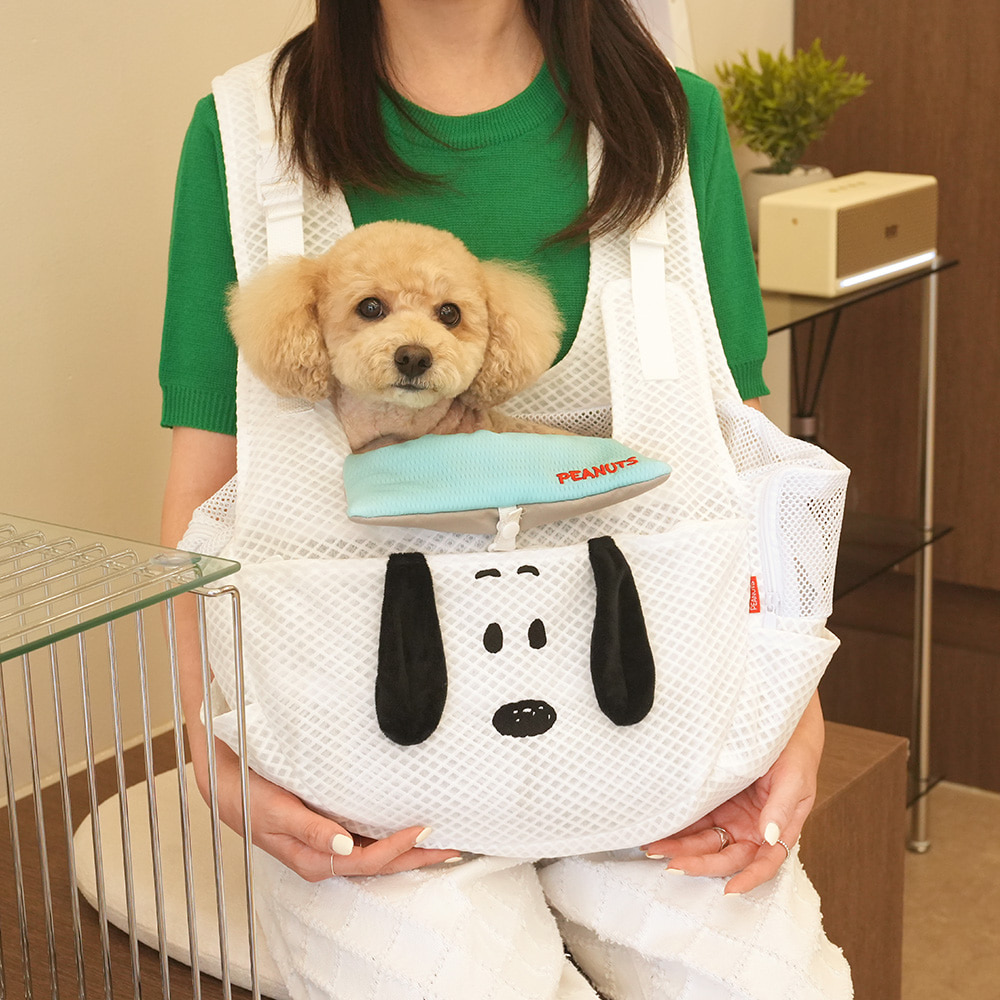 Snoopy Mesh Front Pet Bag