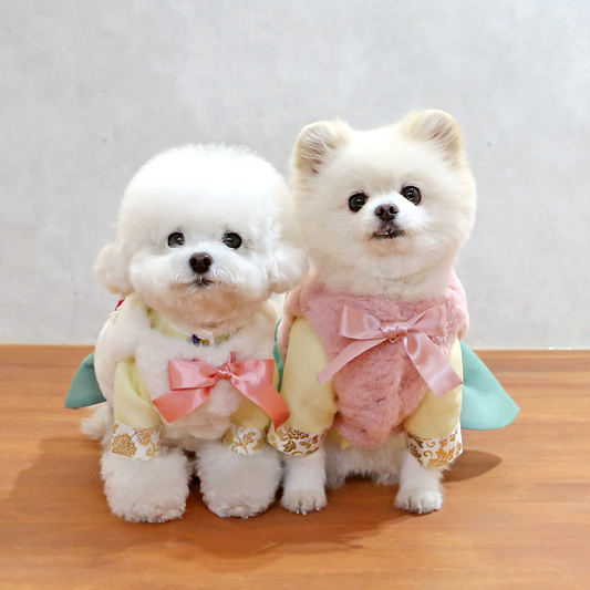 ITSDOG | Faux Fur Vest Jacket