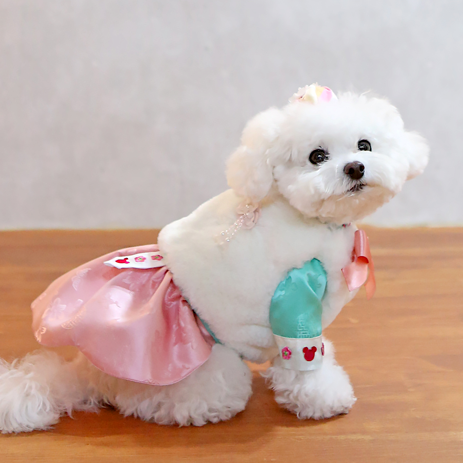 ITSDOG | Faux Fur Vest Jacket