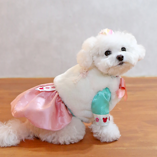 ITSDOG | Faux Fur Vest Jacket