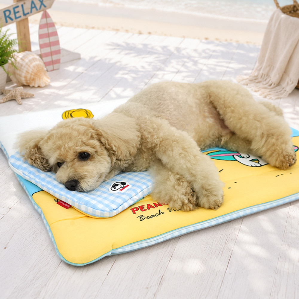 Snoopy Ice Pack Pouch (Beach / Swim Ring) | Double-Sided | Ice Pack included