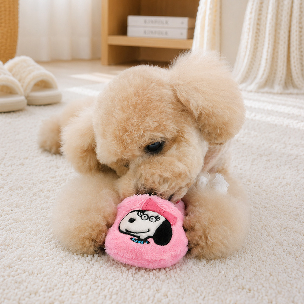 Snoopy Slipper Toy
